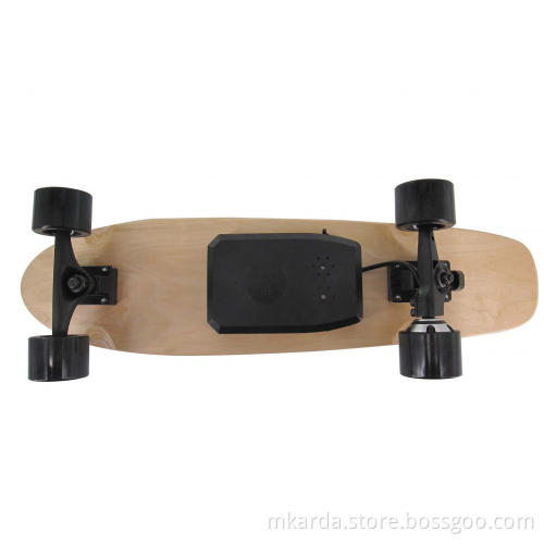 Remote Fish Electric Skateboard